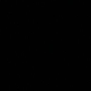 Meet your Posher, Bradley